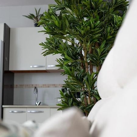 Appartement Trinidad Aparment à Málaga Extérieur photo