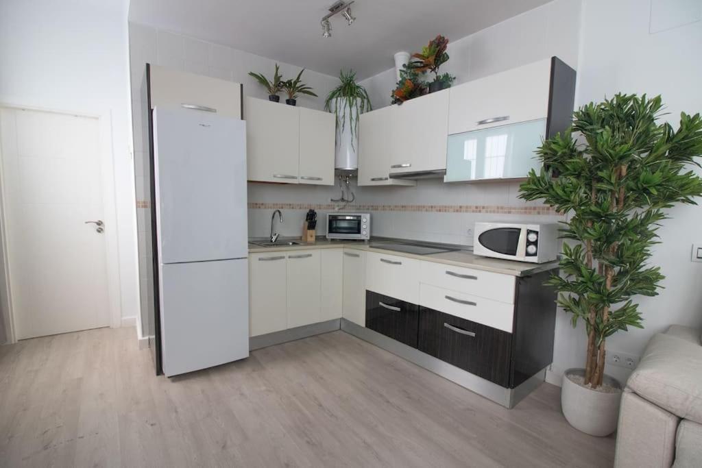Appartement Trinidad Aparment à Málaga Extérieur photo