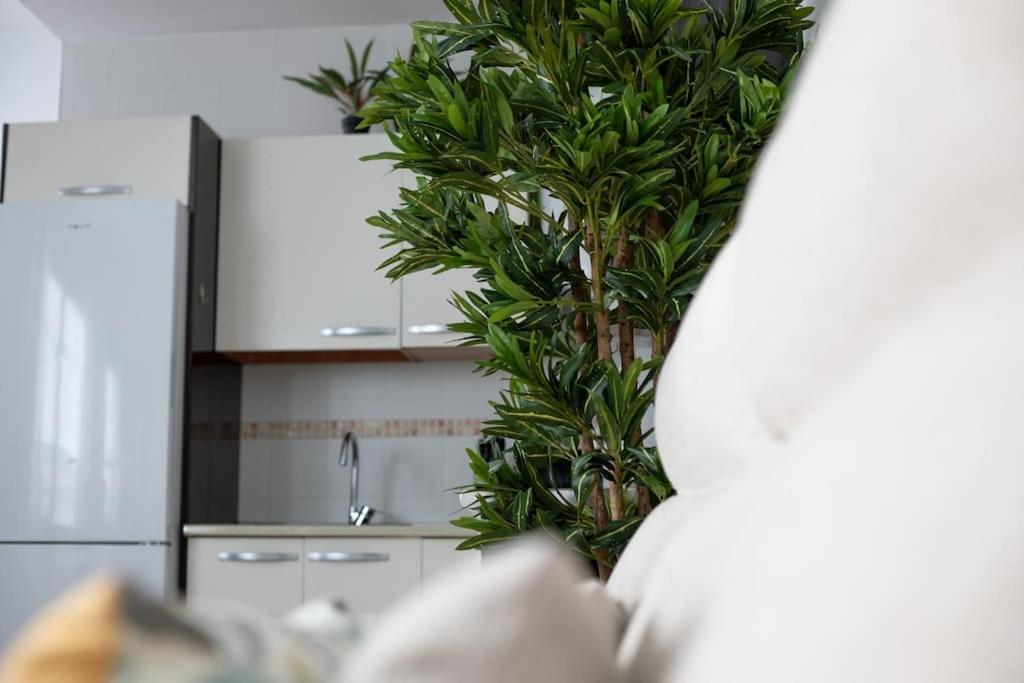 Appartement Trinidad Aparment à Málaga Extérieur photo